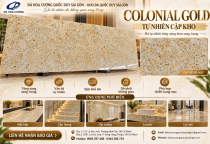 Colonial Gold Tự Nhiên Cập Kho – Đá Vàng Kem Sang Trọng