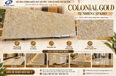Colonial Gold Tự Nhiên Cập Kho – Đá Vàng Kem Sang Trọng